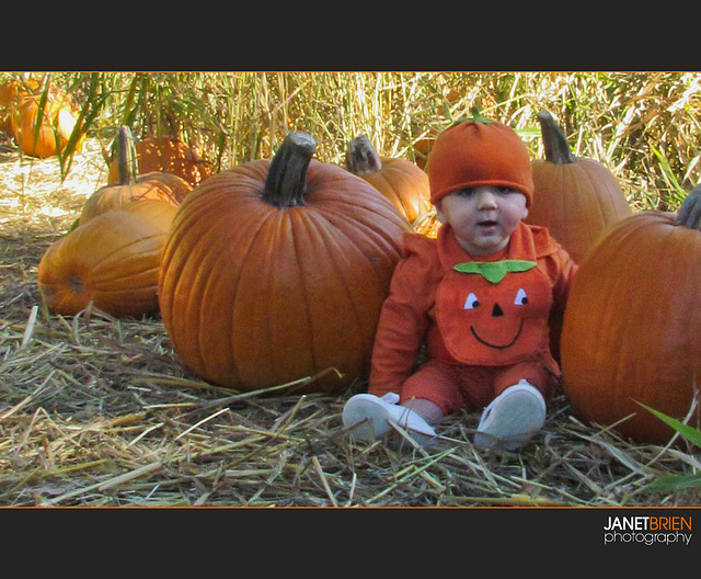 Pumpkin Baby