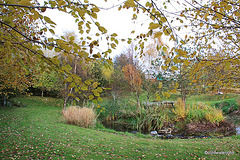 Garden Colours - late October