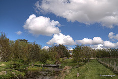 May Skies Library