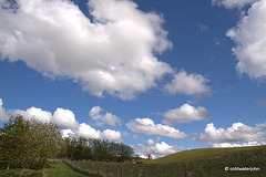 May Skies Library