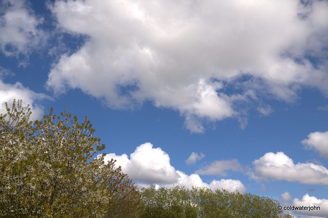 May Skies Library