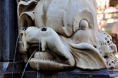 Fish Fountain in Leiden