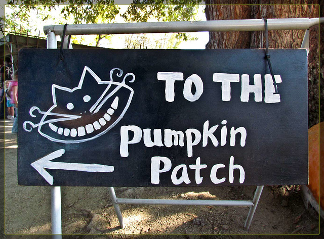 To the Pumpkin Patch