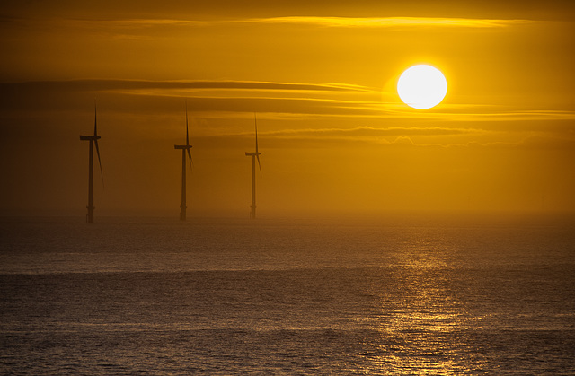 Windfarm Sunset