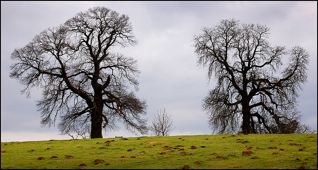 Stowe Landscape Gardens