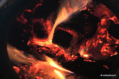 Warm embers on a cold wet day