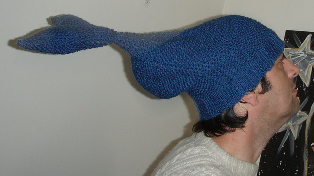 blue fish beanie in flight