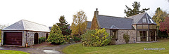 Garden Colours in the courtyard - late October