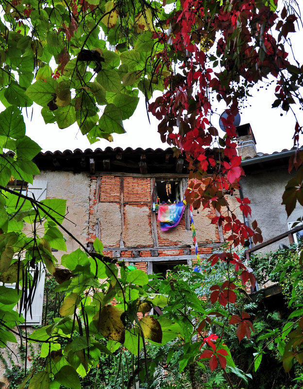 8 octobre 2012 061