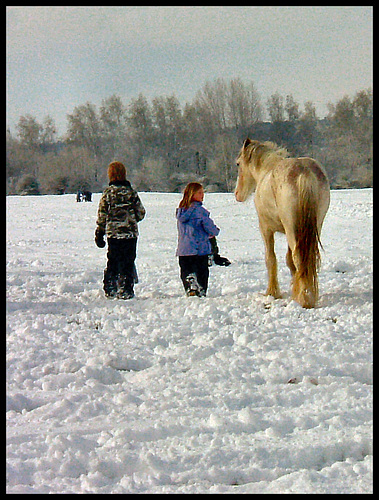 kids with pony