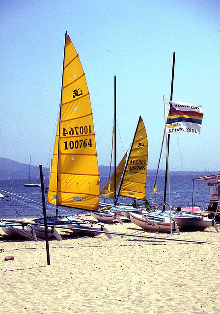 Yellow Sails