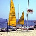 Yellow Sails