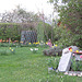 Blick über den Garten zur Tulpenblüte