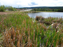 Highway 97 - 100 Mile House, BC