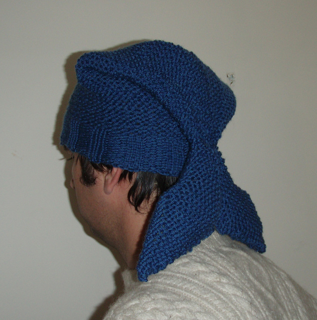 blue fish beanie side on