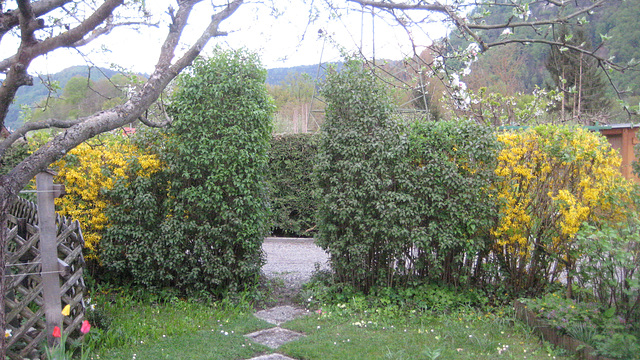 Der Garteneingang