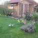 Überblick über den Garten