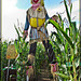 Scarecrow Corn Maze