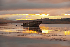 Falklands Sunset