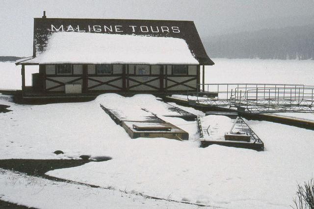 May Snow at Maligne Lake