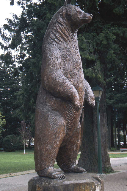 Bear Erect