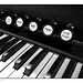 Organ Keys black and white