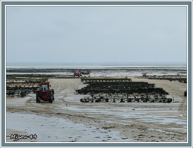 NOIRMOUTIER