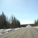 The road