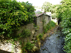 hartland abbey, devon