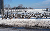 Harbor in Winter