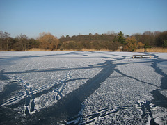 Sperenberg - Winter am Krummen See