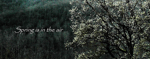 Spring