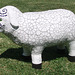 Maori Ewe - side on
