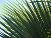Geometrías verdes, geometries verts