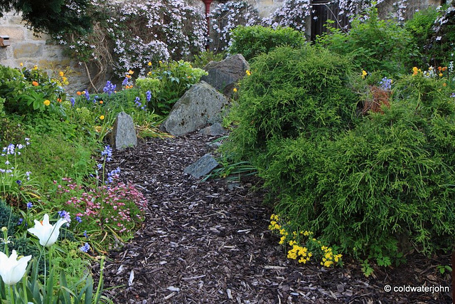 Courtyard Garden series - May 25th