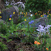 Courtyard Garden series - May 25th