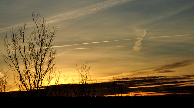 31 décembre 2012 093