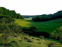 Park Gate Down Valley View