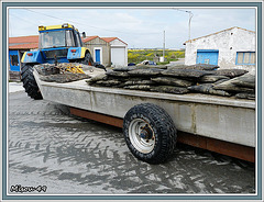 NOIRMOUTIER