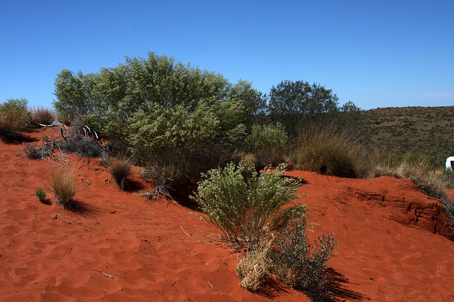 Outback ranch land