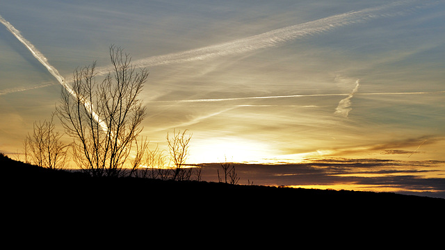 31 décembre 2012 099