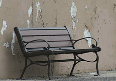Solitary Bench