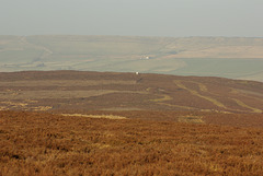 IMGP7896