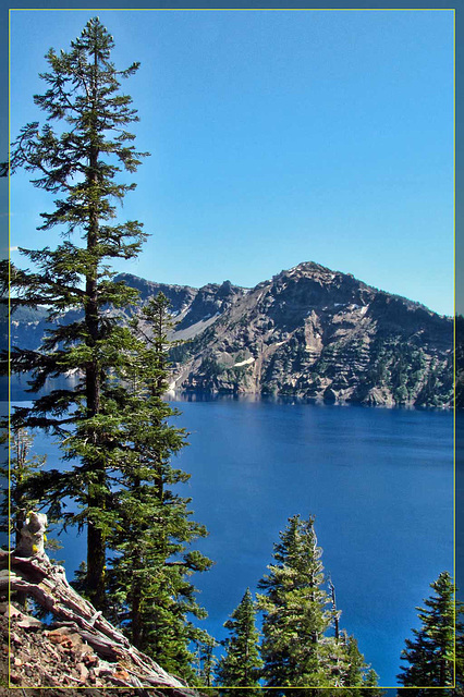 Crater Lake with Pines