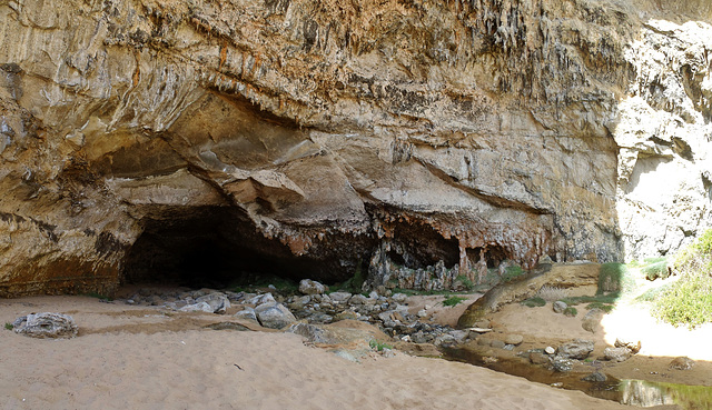 Loch Ard Gorge