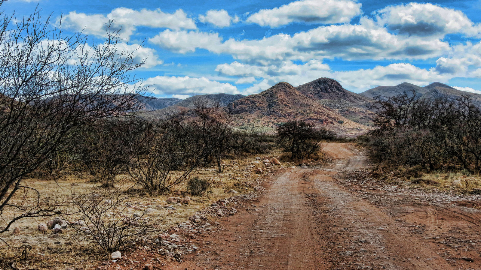 Sharpshooter Road