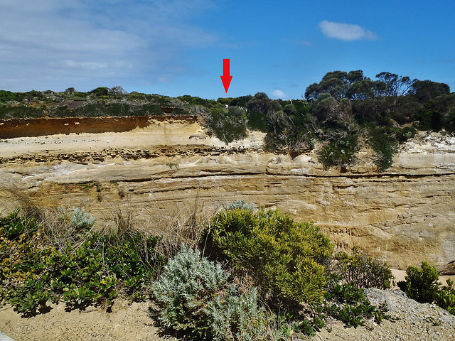 Loch Ard Gorge