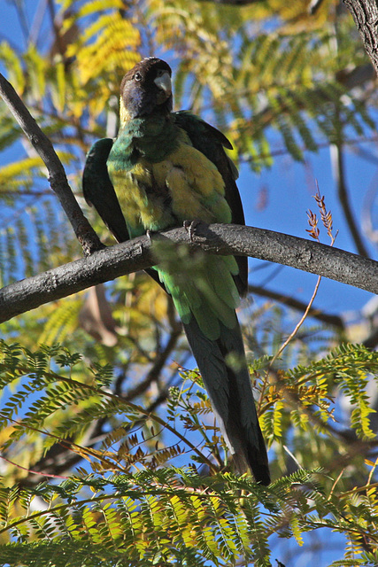 Looking down (Explored)