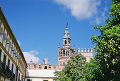 Seville Real Alcazar 17 M7