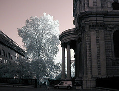 St Paul's Churchyard